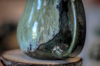 18-E Irish Moss Gourd Mug, 16 oz.