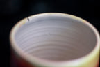 02-A Desert Rainbow Mug, 23 oz.