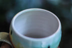 02-B Rainbow Serpent Acorn Gourd Mug - ODDBALL, 20 oz. - 15% off