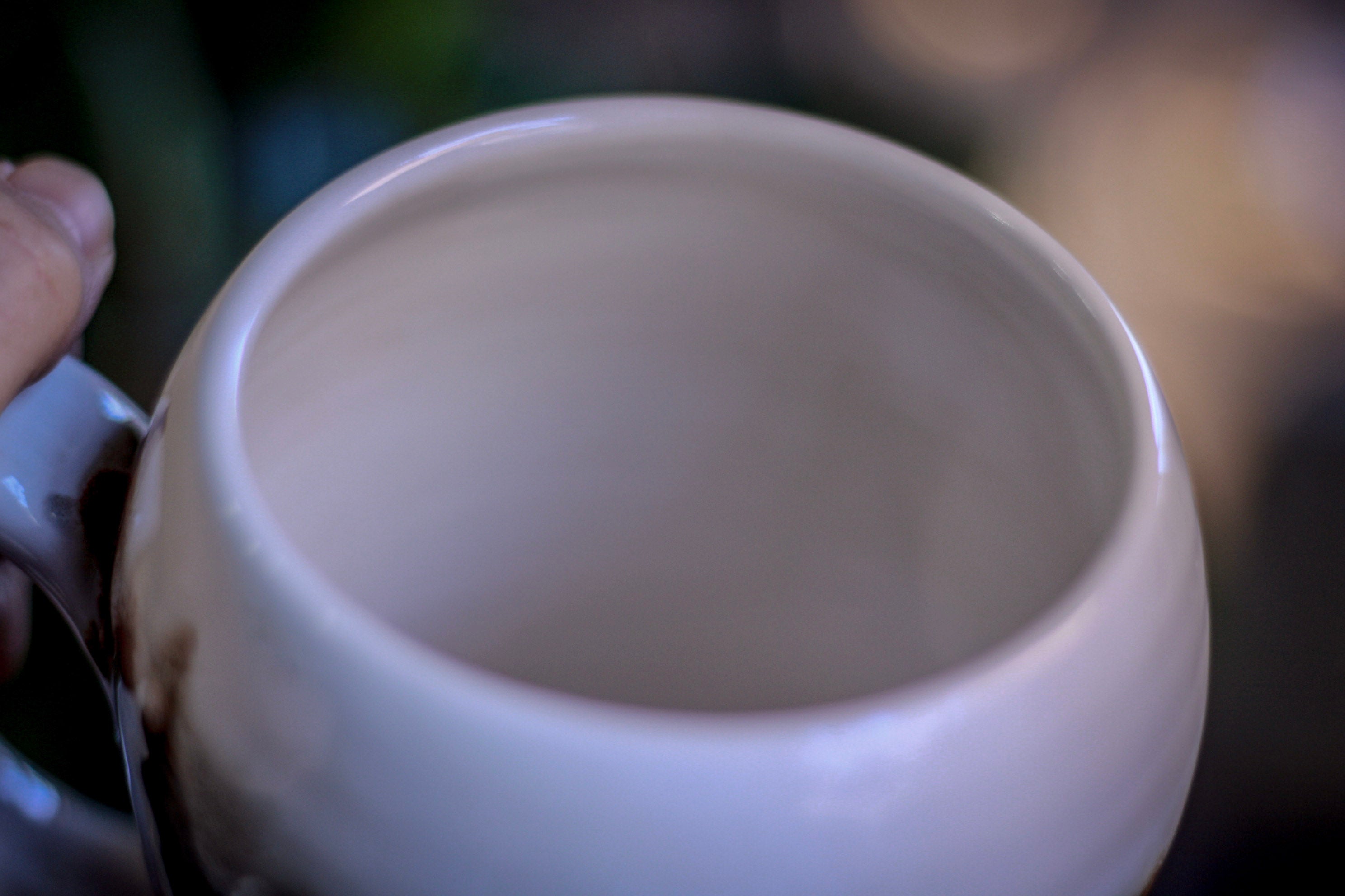 02-B Fire & Ice Gourd Mug, 21 oz.
