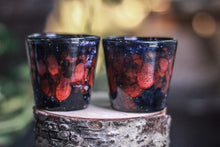 Load image into Gallery viewer, 21-F Scarlet Stellar Shot Glass Set, 2 oz.