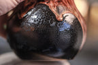26-C Molten Mug - MINOR MISFIT, 25 oz. - 10% off