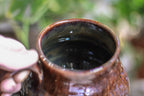 21-F EXPERIMENT Acorn Mug, 20 oz.