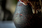 25-C Red Dragon Barely Flared Mug - MISFIT, 17 oz. - 20% off