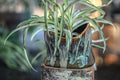 23-E New Wave Planter