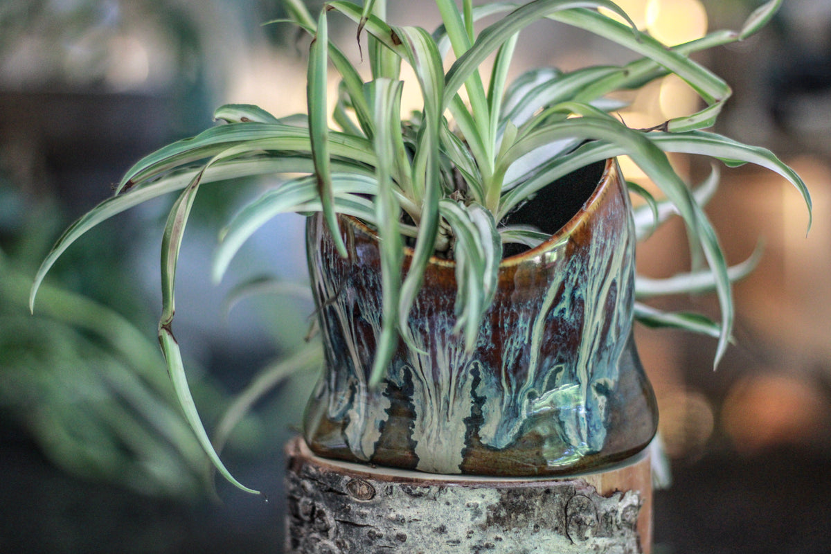23-E New Wave Planter