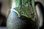 26-C Green Dragon Barely Flared Acorn Mug - ODDBALL, 16 oz. - 10% off