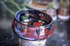 DRAWING WINNER 23-A Rainbow Stellar Bowl, 35 oz.