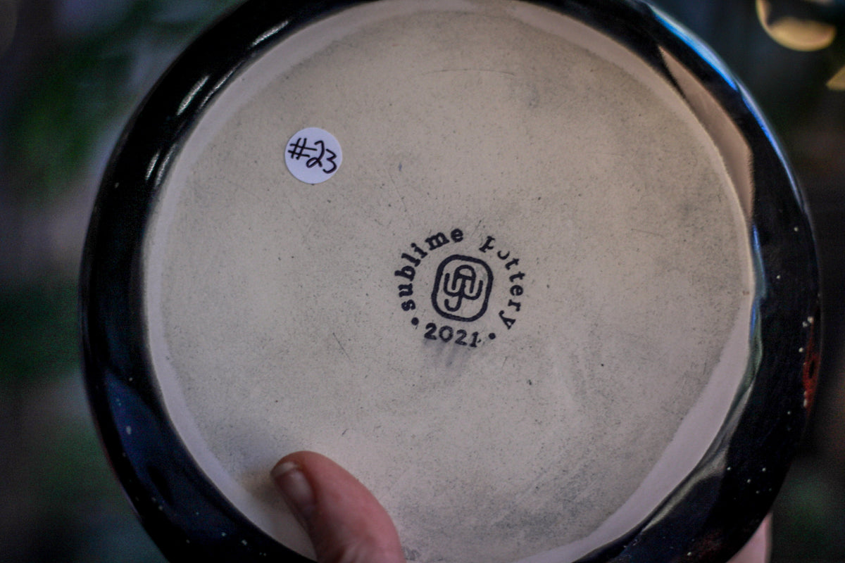 DRAWING WINNER 23-A Rainbow Stellar Bowl, 35 oz.