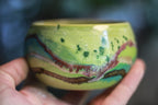EXPERIMENT AUCTION #25 Treasure Bowl, 6 oz.