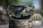 24-A Cosmic Grotto Bowl - TOP SHELF MISFIT, 18 oz.