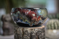 24-A Cosmic Grotto Bowl - TOP SHELF MISFIT, 18 oz.