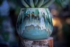 01-B Champlain Falls Planter Mug - MISFIT, - 25% off