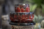 29-A Scarlet Grotto Hermit Set - MISFIT, 15 oz. cup/ 17 oz. bowl - 15% off