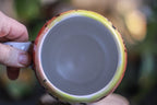 04-B Desert Rainbow Gourd Mug, 24 oz.