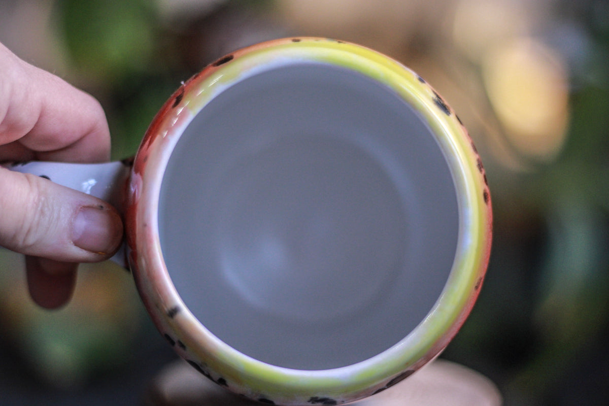 04-B Desert Rainbow Gourd Mug, 24 oz.