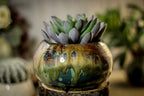 55 HOT MESS!!! Planter