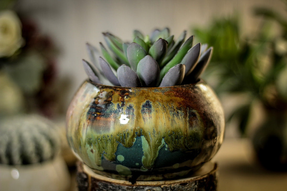 55 HOT MESS!!! Planter