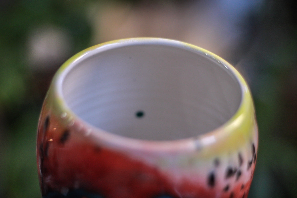 04-B Desert Rainbow Gourd Mug, 24 oz.