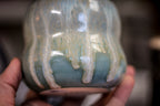 32 EXPERIMENT Gourd Cup, 9 oz.