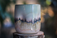 Load image into Gallery viewer, 01-F PROTOTYPE Divot Cup, 15 oz.