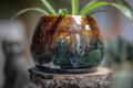 05-I Planter