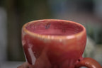 33-C Last Call PROTOTYPE Gourd Mug - MISFIT, 19 oz. - 15% off