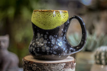 Load image into Gallery viewer, 34-F PROTOTYPE Gourd Mug, 15 oz.