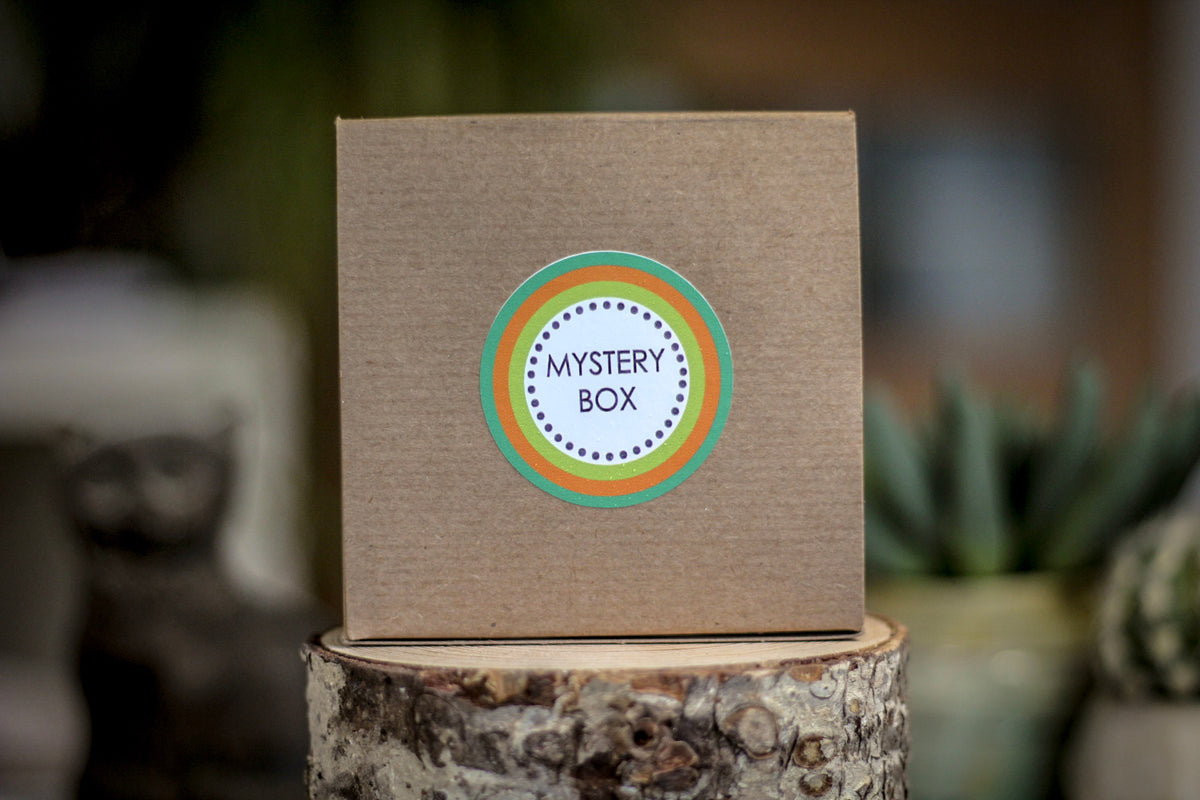 46-J Mystery Box