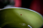 05-E PROTOTYPE Soup Bowl, 19 oz.