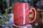 09-C Coral Stone EXPERIMENT Notched Mug, 23 oz.