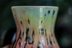 DRAWING WINNER 04-C Rainbow Flared Mug, 23 oz.