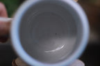 04-B Fire & Ice Gourd Mug, 24 oz.