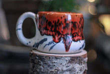 Load image into Gallery viewer, 06-D EXPERIMENT Gourd Mug - MISFIT, 13 oz. - 15% off