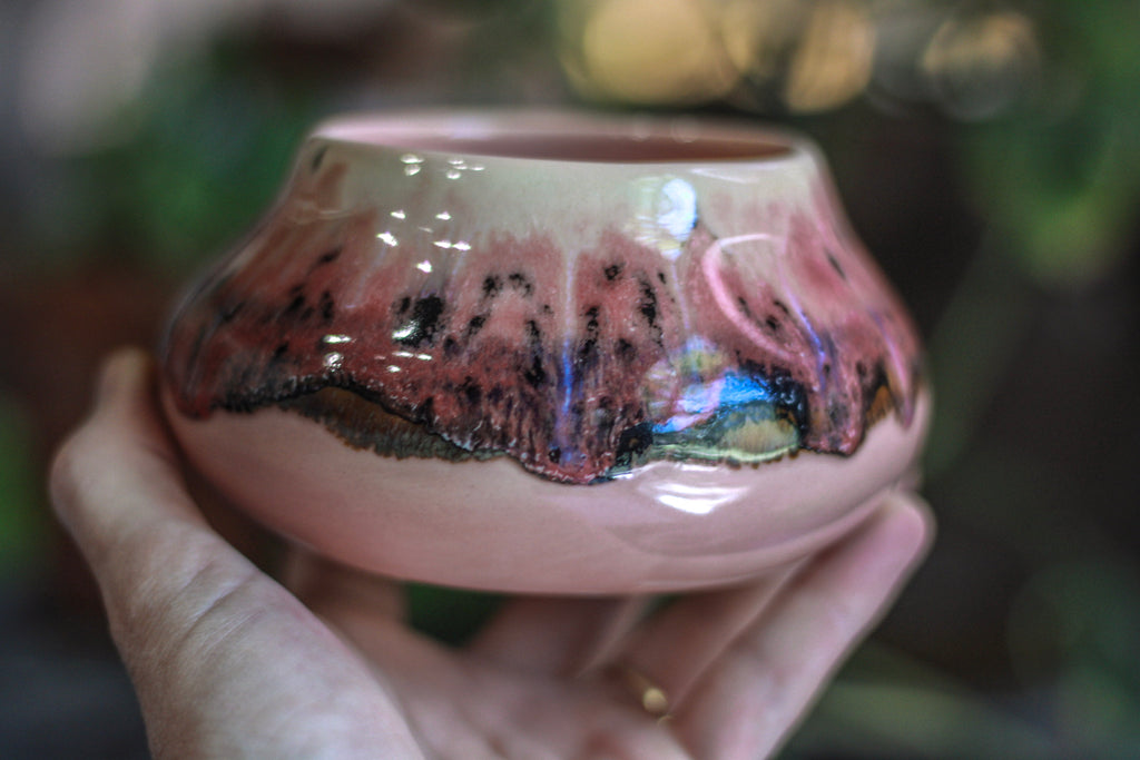 05-H EXPERIMENT Treat Bowl, 14 oz.