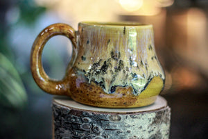 06-F EXPERIMENT Acorn Mug, 11 oz.