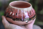 05-H EXPERIMENT Treat Bowl, 14 oz.