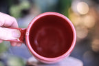 09-C Coral Stone EXPERIMENT Notched Mug, 23 oz.