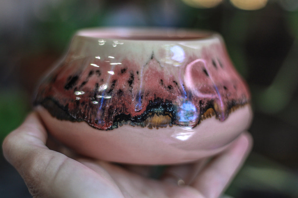 05-H EXPERIMENT Treat Bowl, 14 oz.