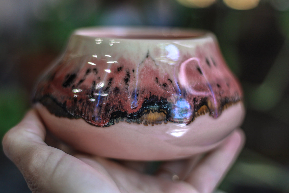 05-H EXPERIMENT Treat Bowl, 14 oz.