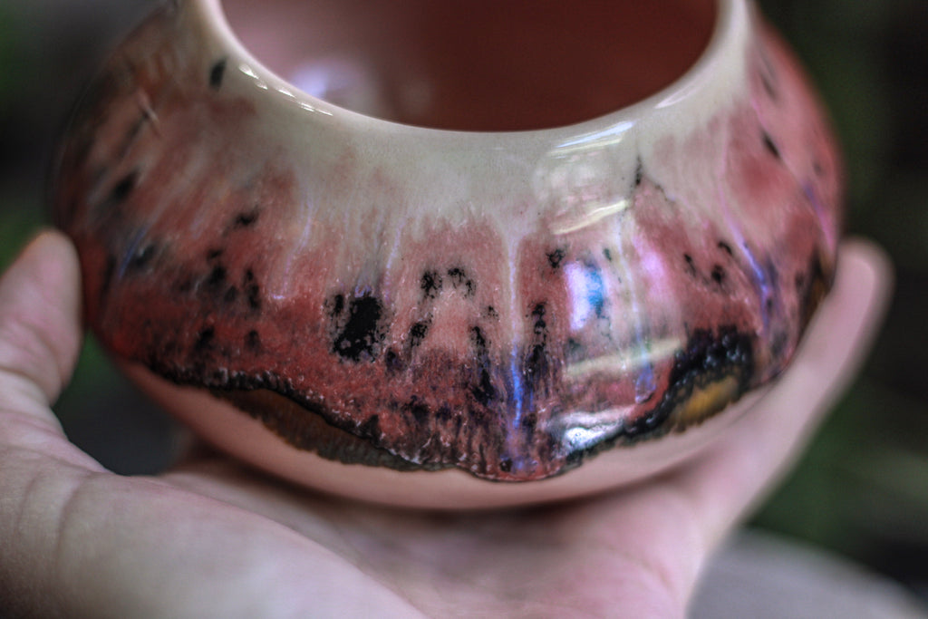 05-H EXPERIMENT Treat Bowl, 14 oz.