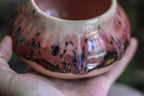 05-H EXPERIMENT Treat Bowl, 14 oz.