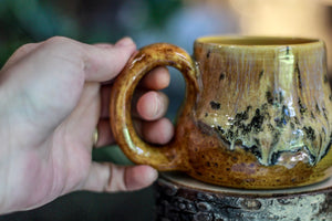 06-F EXPERIMENT Acorn Mug, 11 oz.