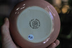 05-H EXPERIMENT Treat Bowl, 14 oz.