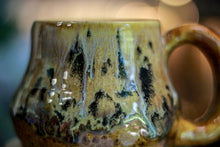 Load image into Gallery viewer, 06-F EXPERIMENT Acorn Mug, 11 oz.