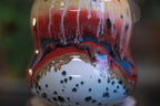 05-B Desert Rainbow Gourd Mug - TOP SHELF, 23 oz.
