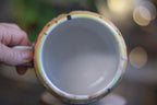 05-B Desert Rainbow Gourd Mug - TOP SHELF, 23 oz.