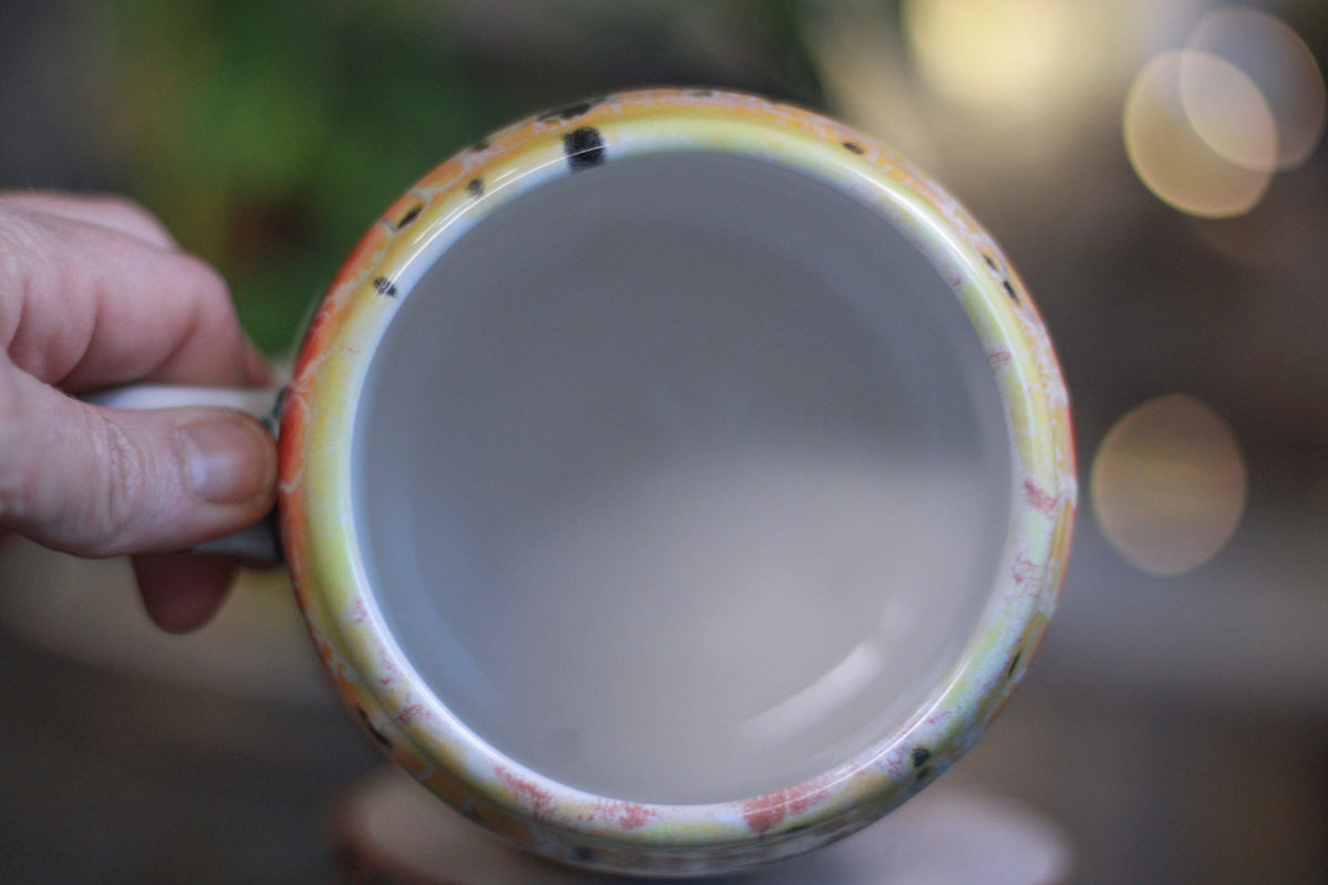 05-B Desert Rainbow Gourd Mug - TOP SHELF, 23 oz.