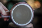 05-D Sonora Snow Variation Gourd Mug, 22 oz.