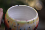 05-B Desert Rainbow Gourd Mug - TOP SHELF, 23 oz.